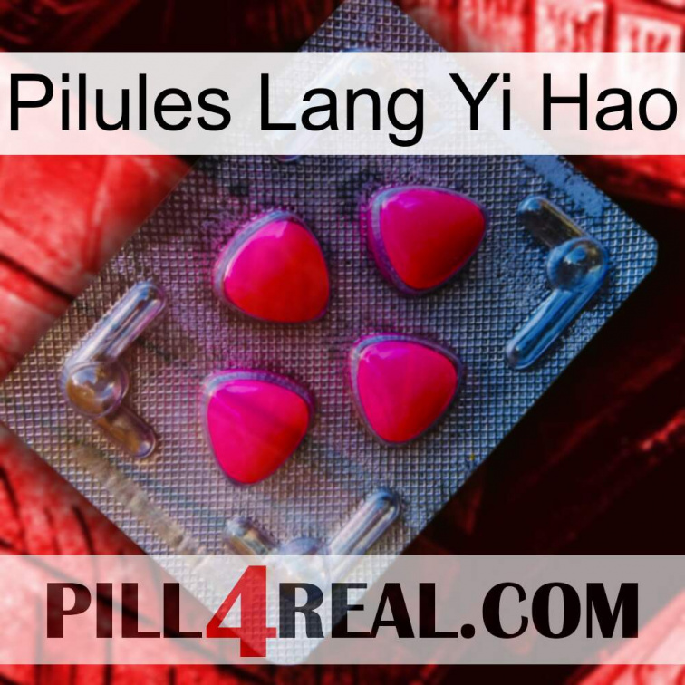 Lang Yi Hao Pills 13